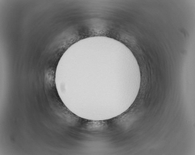 X0000113750672200909231007