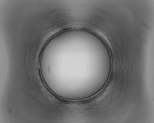 X0000113750673200909231006