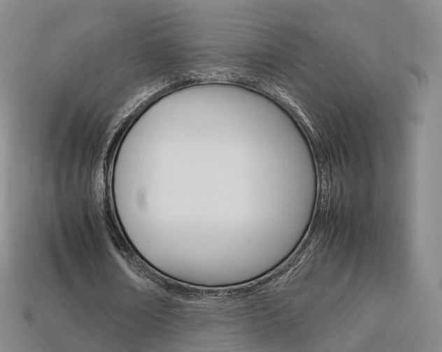 X0000113750674200909231006