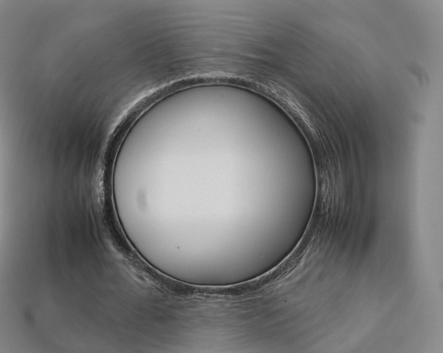X0000113750676200909231006