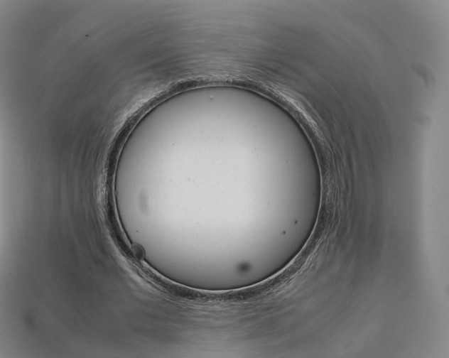 X0000113750677200909231006