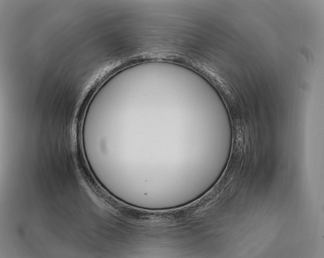 X0000113750678200909231006