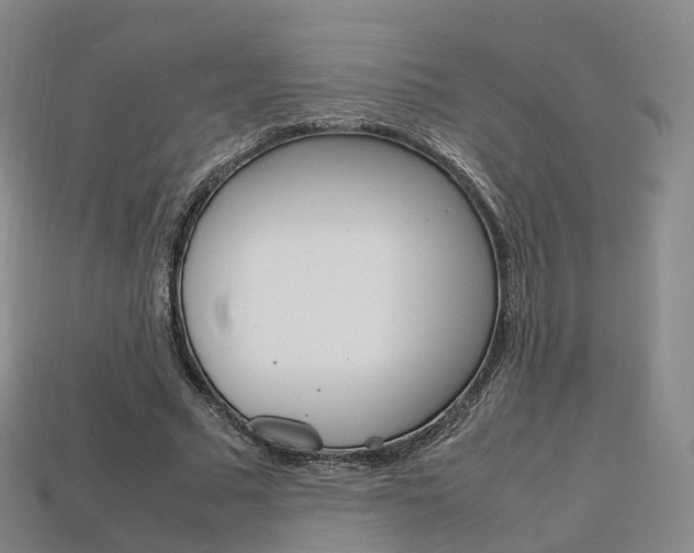 X0000113750681200909231006