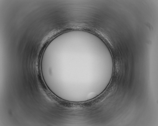 X0000113750682200909231006