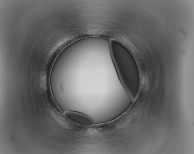 X0000113750684200909231006