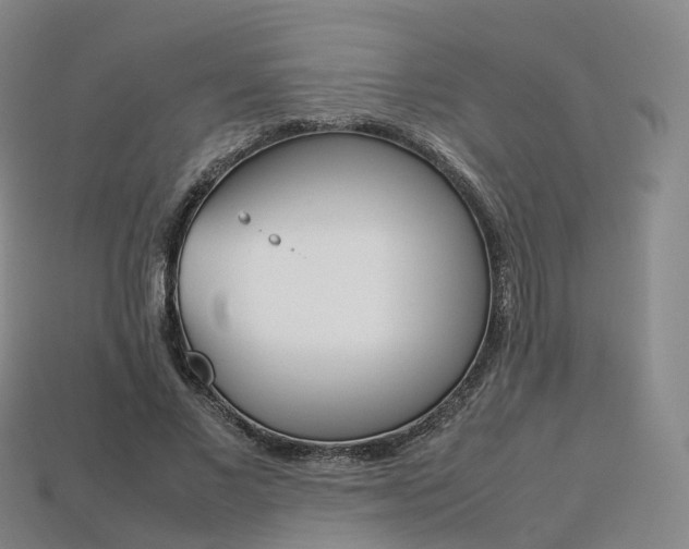 X0000113750685200909231006