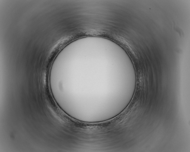 X0000113750686200909231006