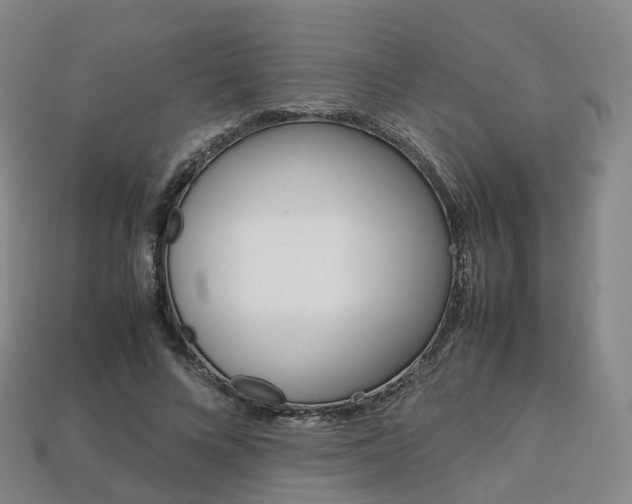 X0000113750688200909231006