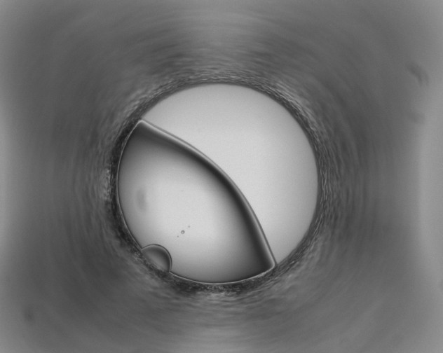 X0000113750689200909231006