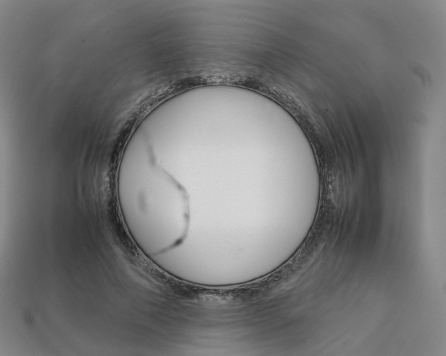 X0000113750690200909231006