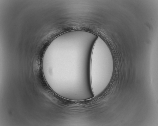 X0000113750691200909231006