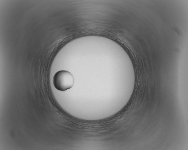 X0000113750693200909231006