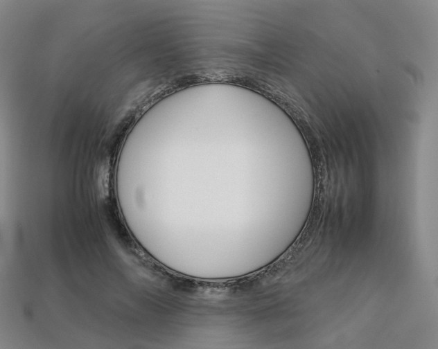 X0000113750694200909231006