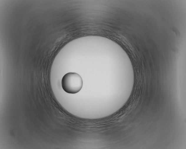 X0000113750697200909231006