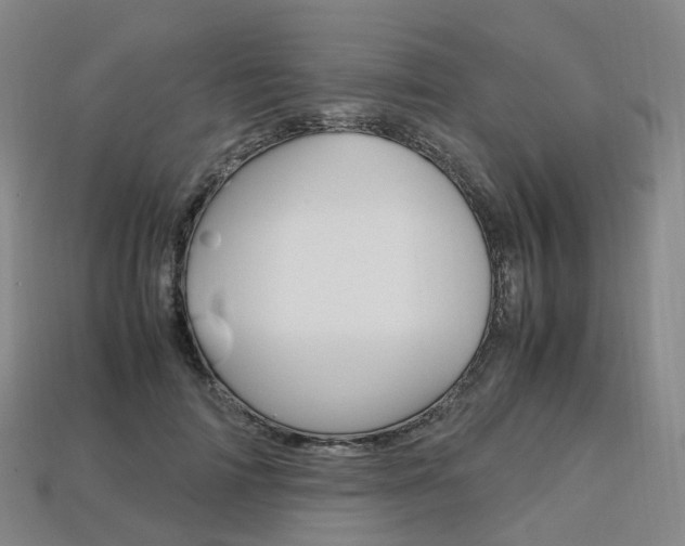 X0000113750698200909231006