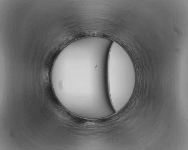 X0000113750699200909231006