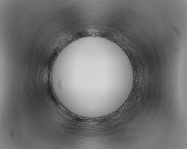 X0000113750702200909231006