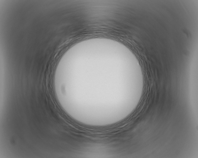 X0000113750705200909231006