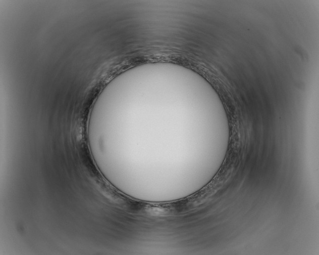 X0000113750706200909231006