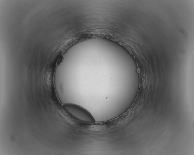 X0000113750708200909231006