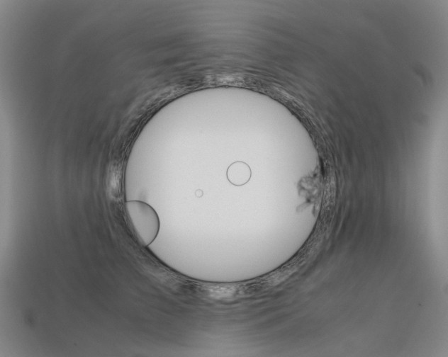 X0000113750709200909231006