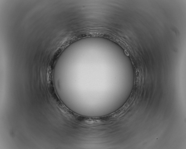 X0000113750712200909231006