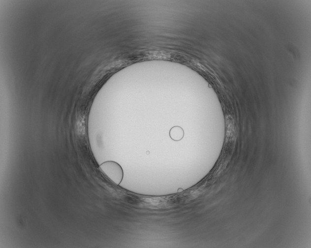 X0000113750713200909231006