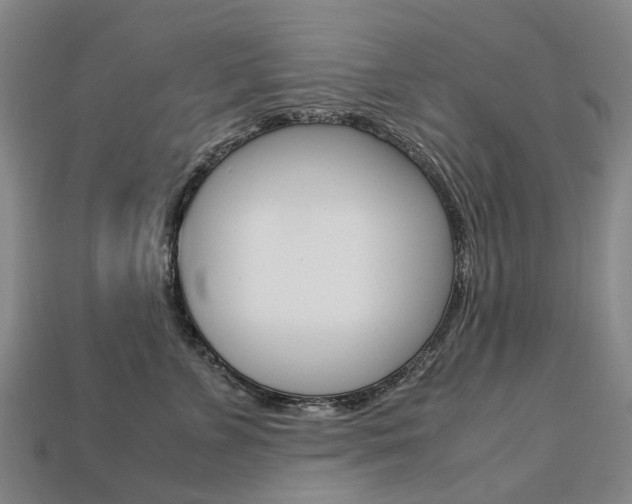 X0000113750715200909231006