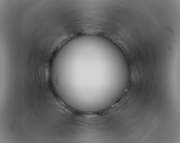 X0000113750716200909231006