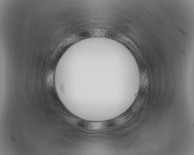 X0000113750717200909231006