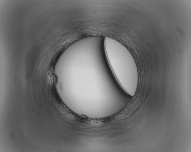 X0000113750719200909231006