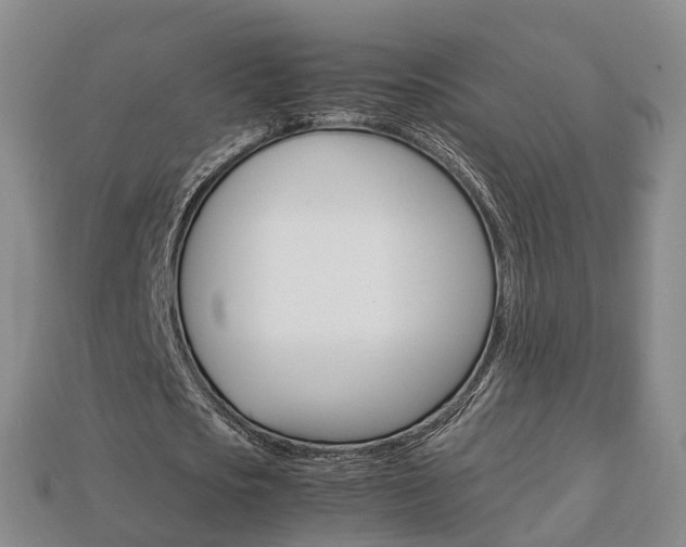X0000113750721200909231005