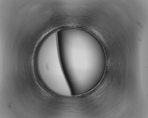 X0000113750722200909231005