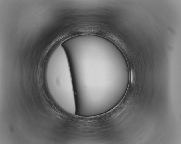 X0000113750723200909231005