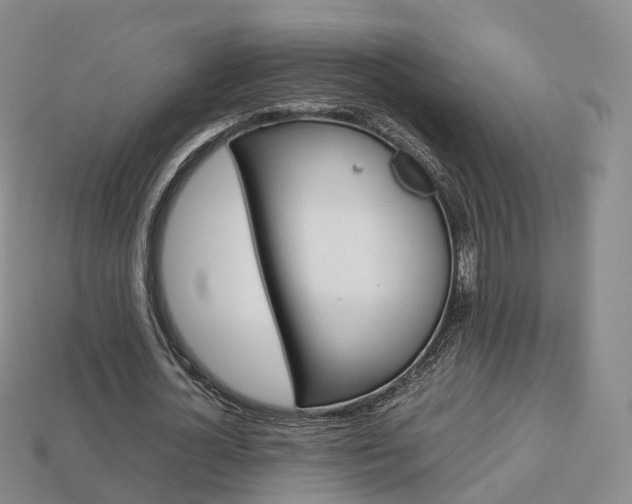 X0000113750724200909231005