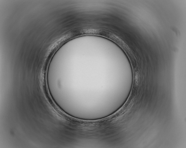 X0000113750725200909231005