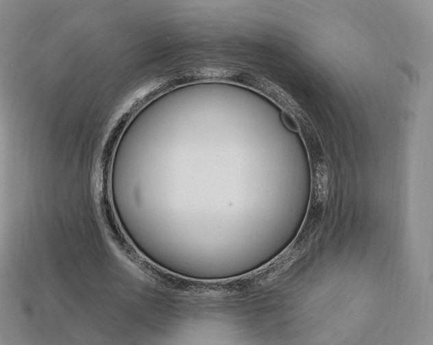 X0000113750726200909231005