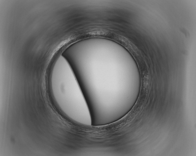 X0000113750727200909231005