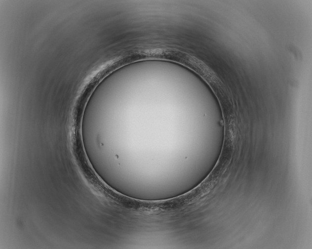 X0000113750728200909231005