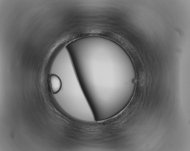 X0000113750731200909231005