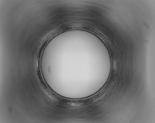 X0000113750733200909231005