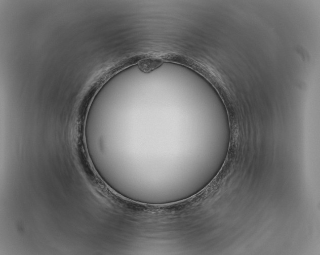 X0000113750736200909231005