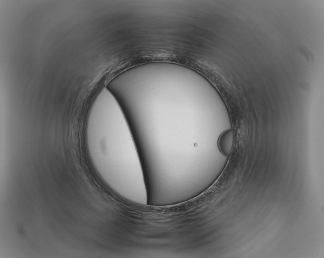 X0000113750739200909231005