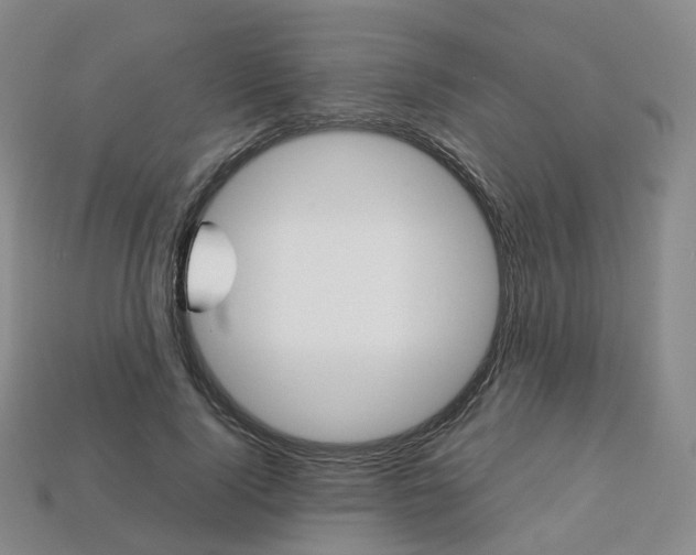 X0000113750740200909231005