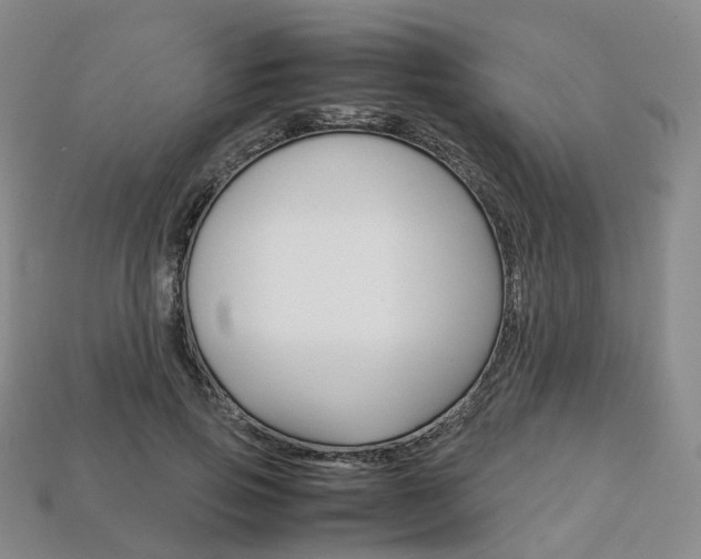 X0000113750741200909231005