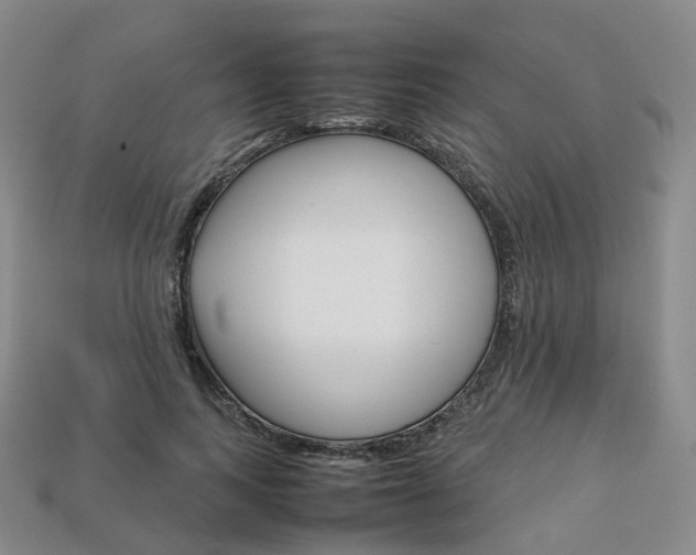 X0000113750743200909231005