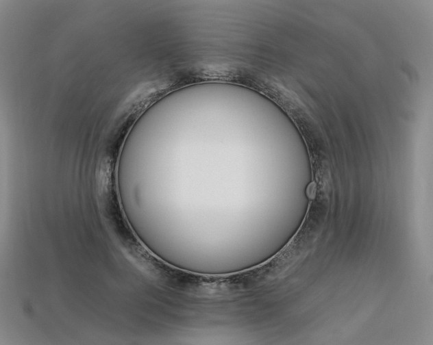 X0000113750744200909231005