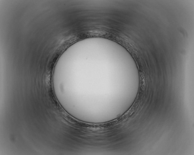 X0000113750745200909231005