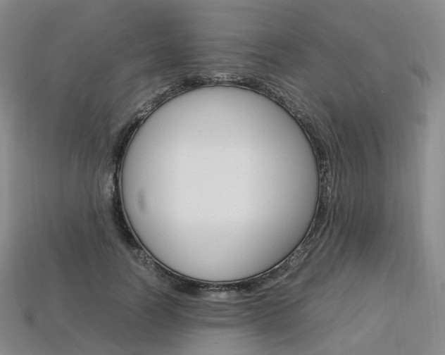 X0000113750746200909231005