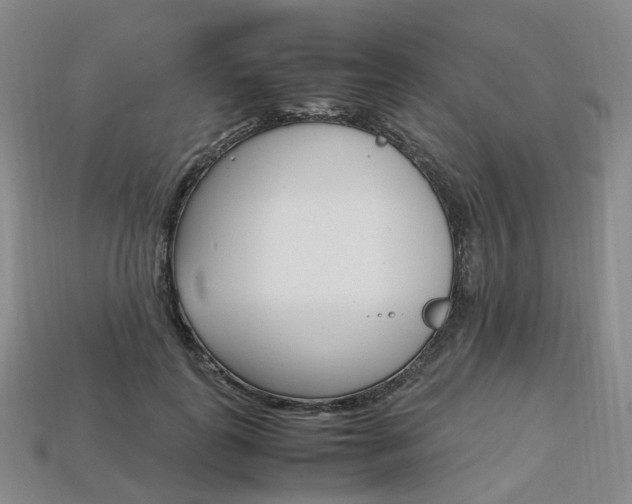 X0000113750747200909231005